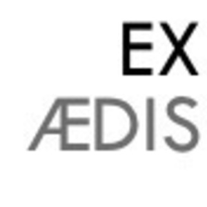 EX AEDIS Conseil Paris 13, Entreprise de service, Consultant