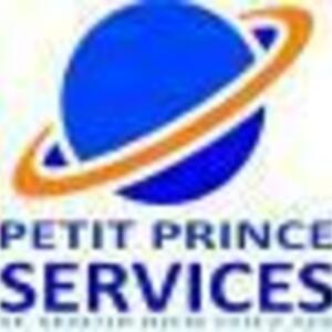 Petit Prince Services Castelnau-le-Lez, Service à la personne