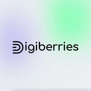 Digiberries - Agence de Référencement Web Paris Paris 3, Agence marketing, Webmaster
