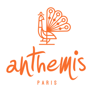 ANTHEMIS Paris 15, Tissus pour l'ameublement, rideaux, passementerie (fabrication, gros), Tapis d'orient, d'artisanat